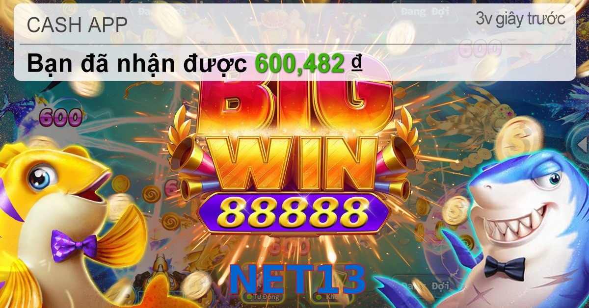 NET13