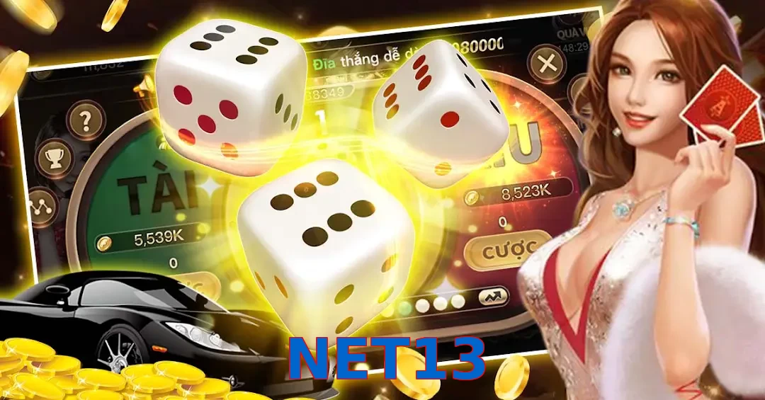 NET13