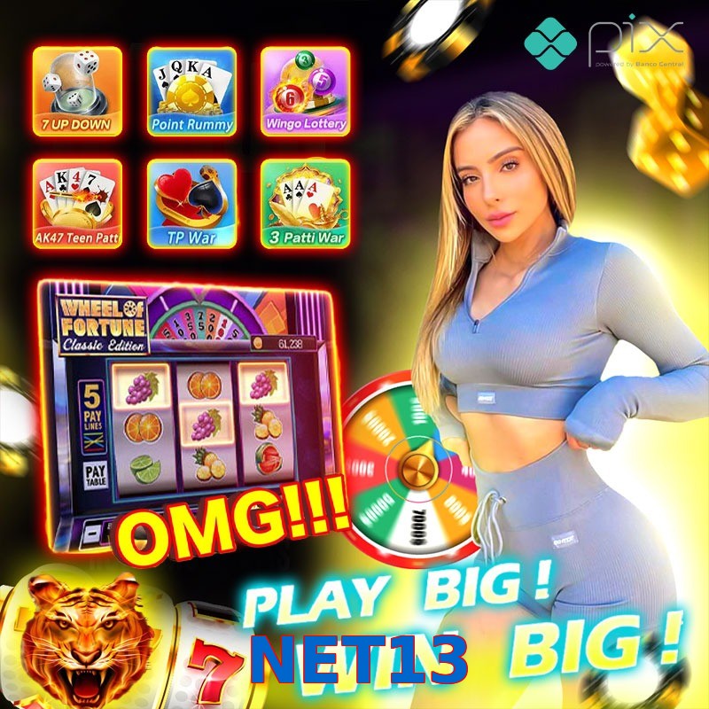 NET13