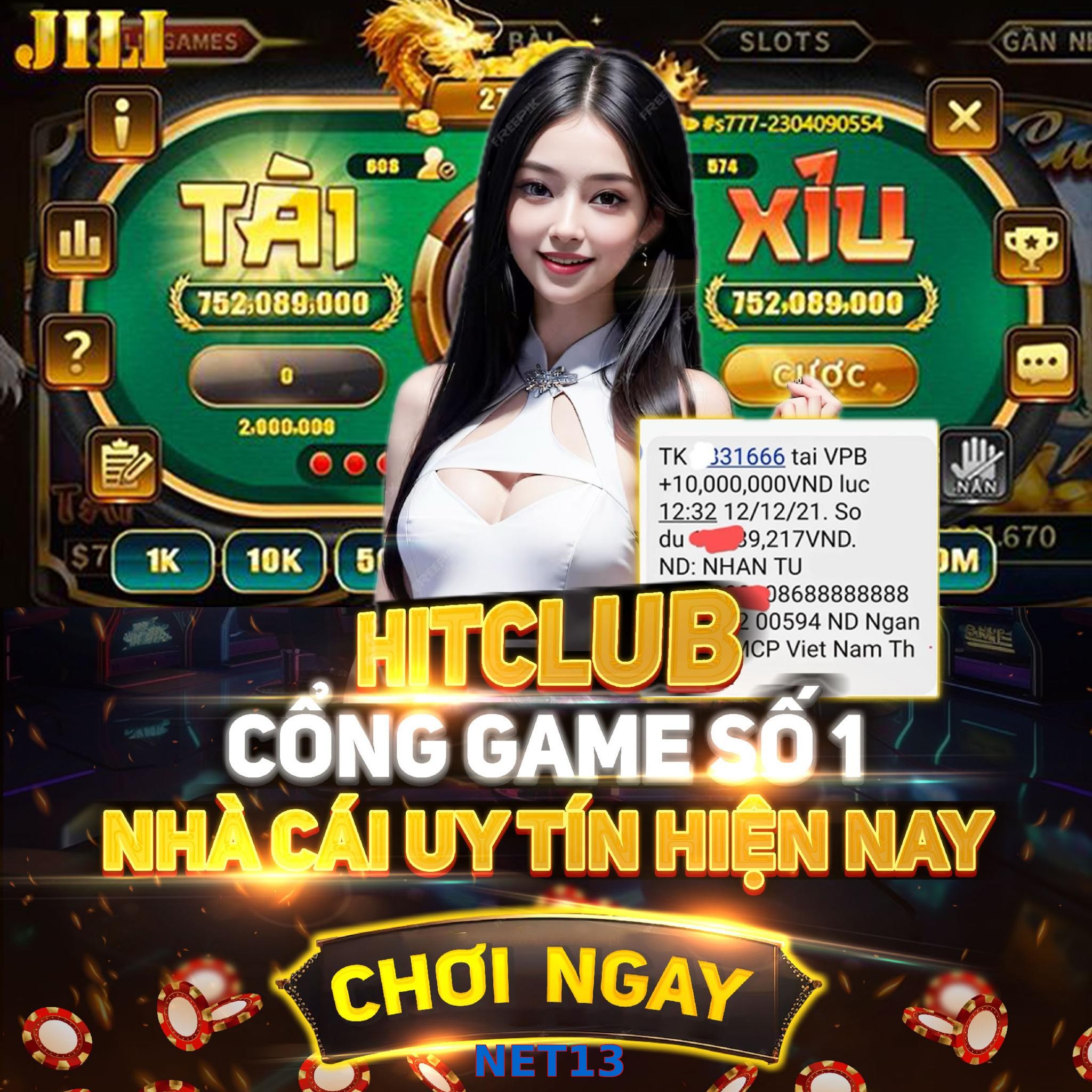 NET13