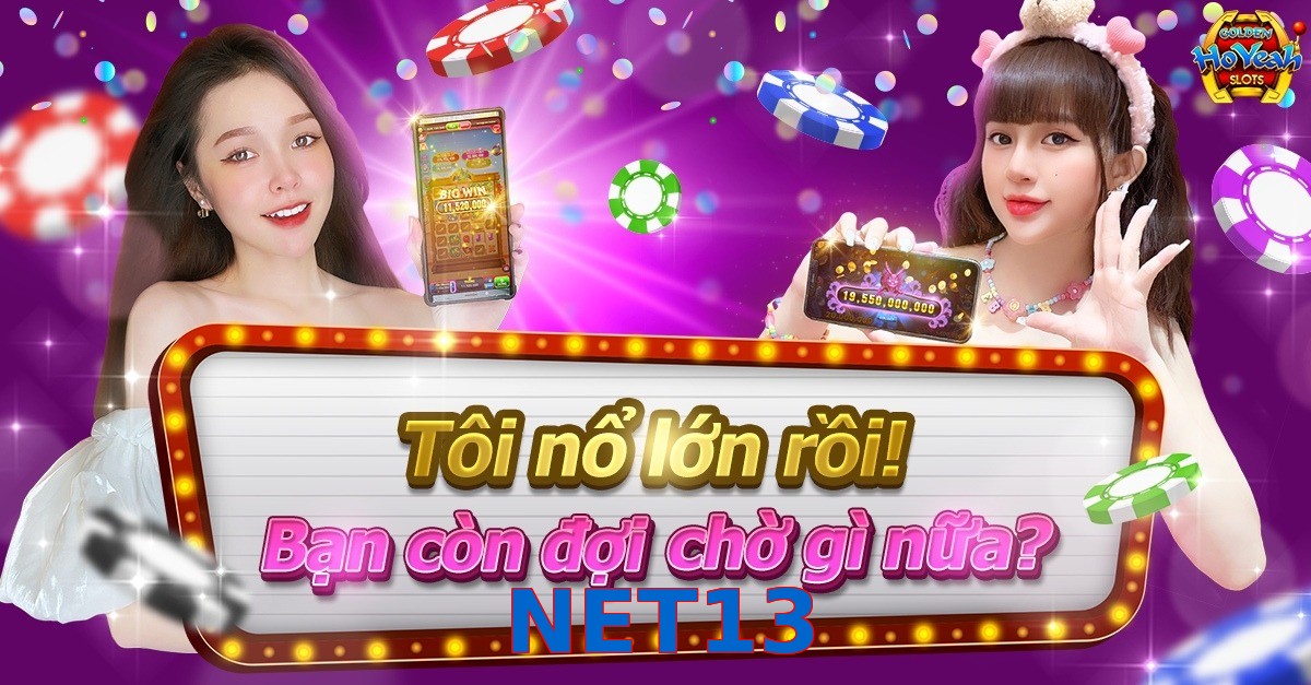 NET13