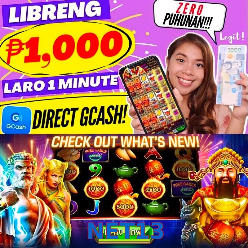 NET13