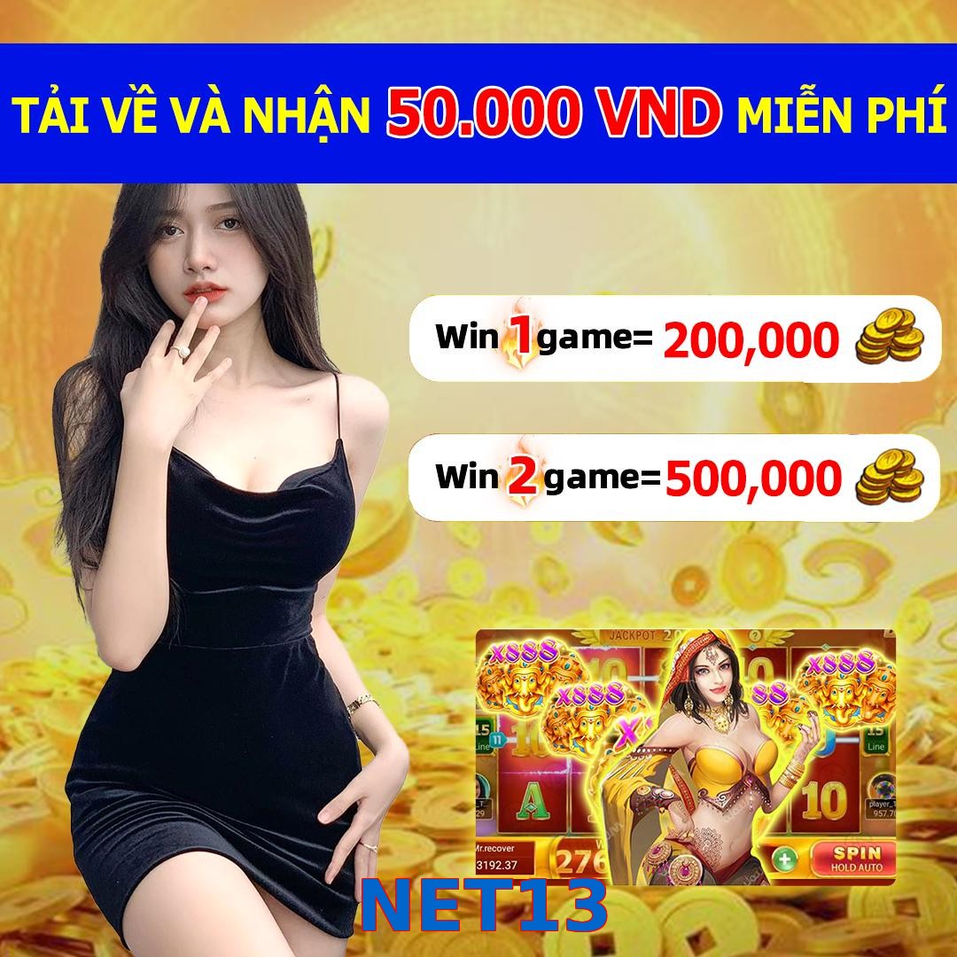 NET13