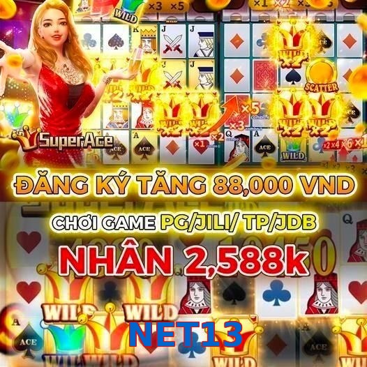 NET13