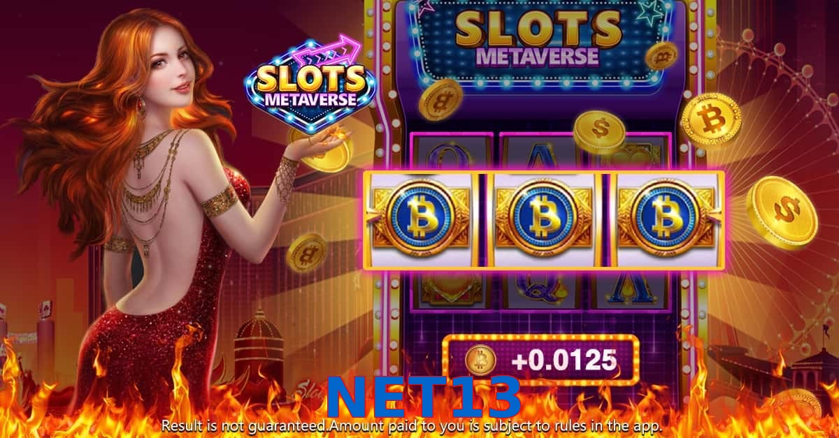 NET13