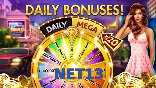 NET13