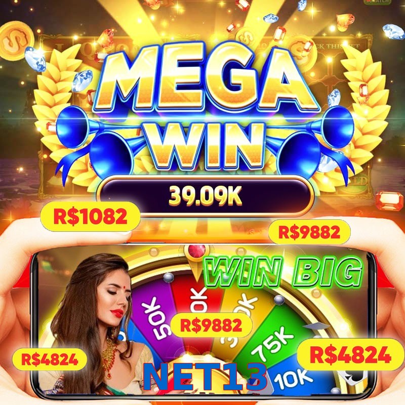 NET13