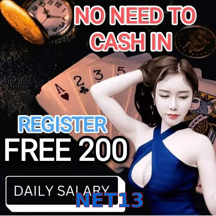 NET13