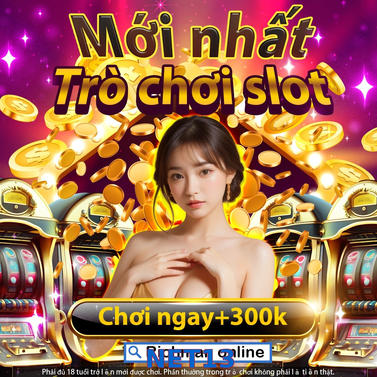 NET13