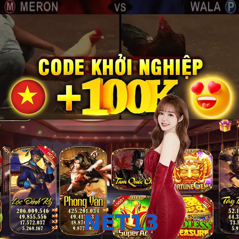NET13