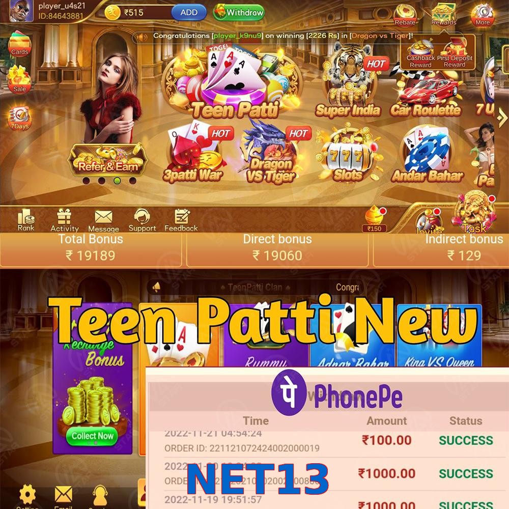 NET13