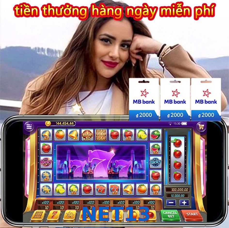 NET13