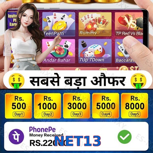 NET13