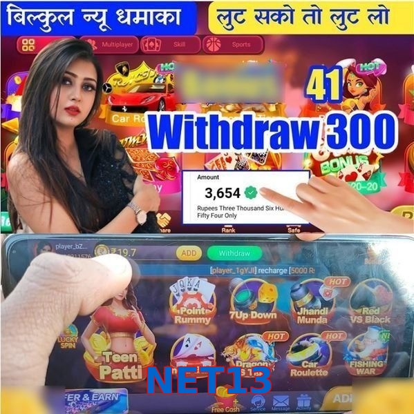 NET13