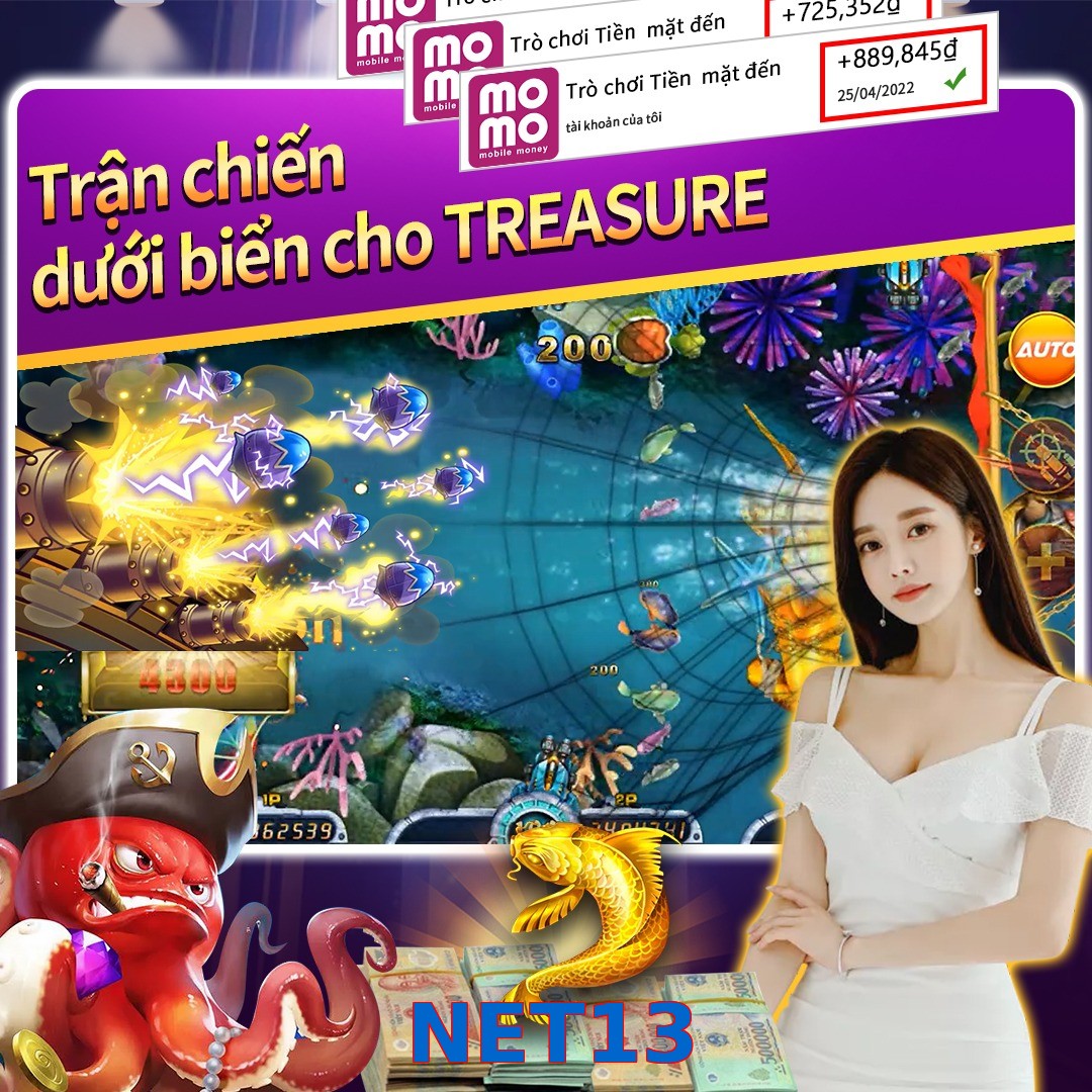 NET13