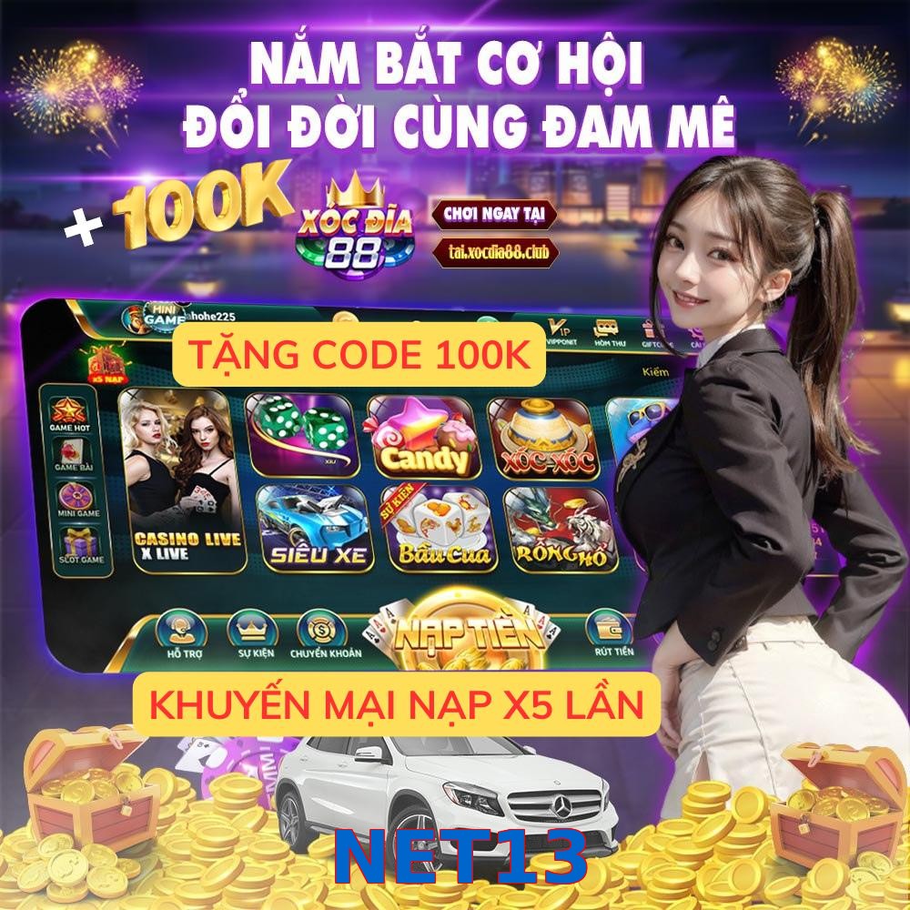 NET13