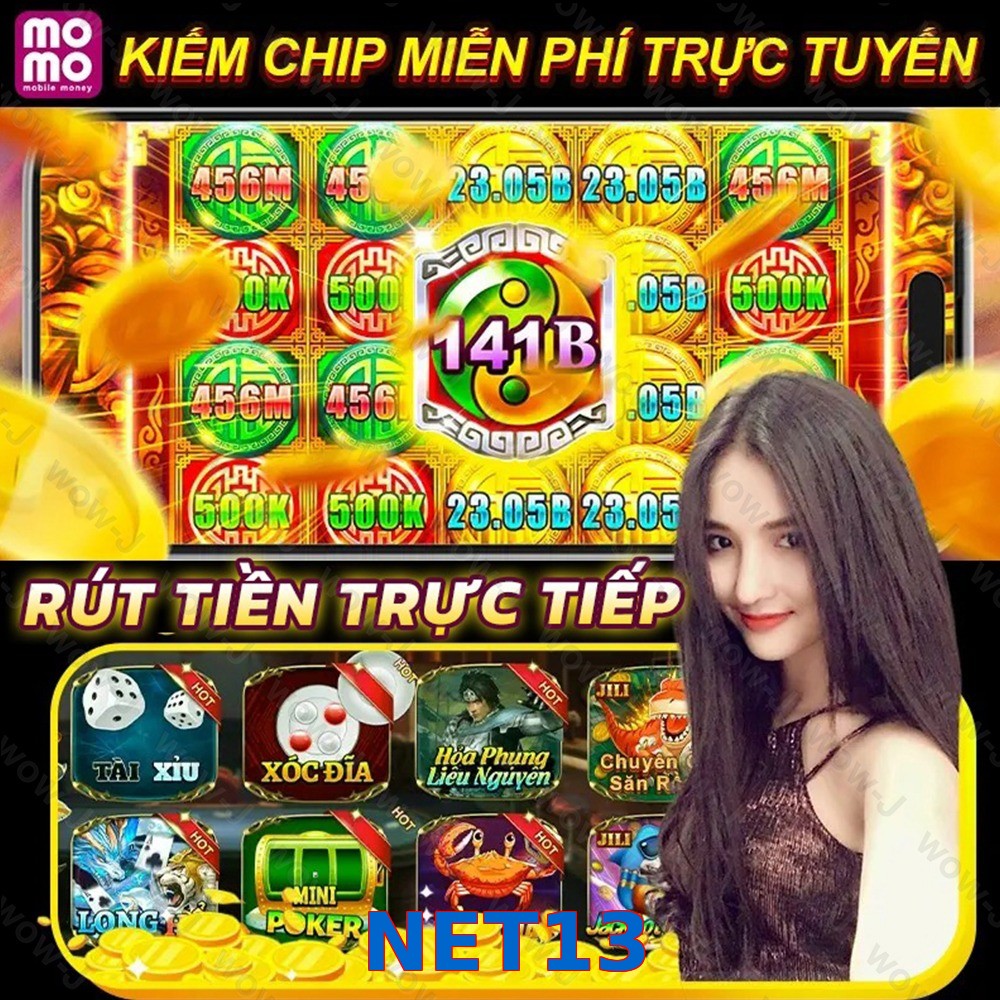 NET13