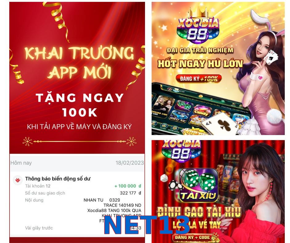 NET13