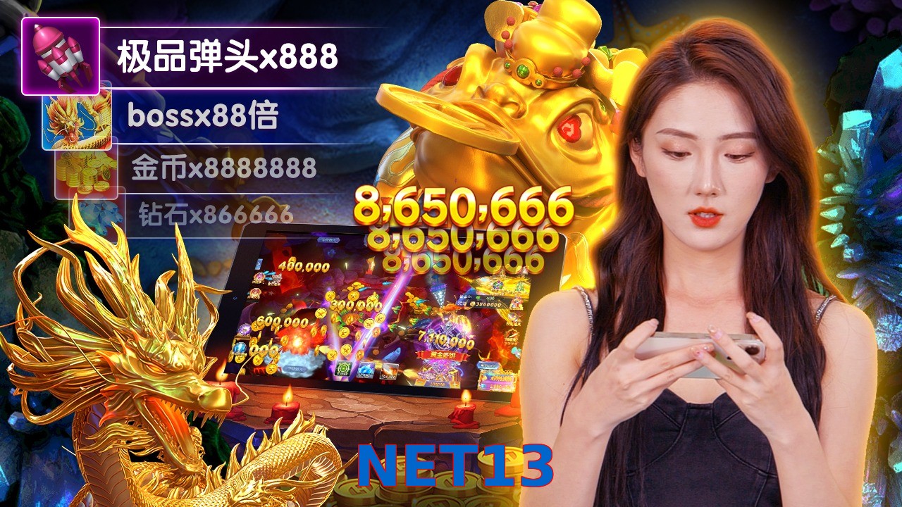 NET13