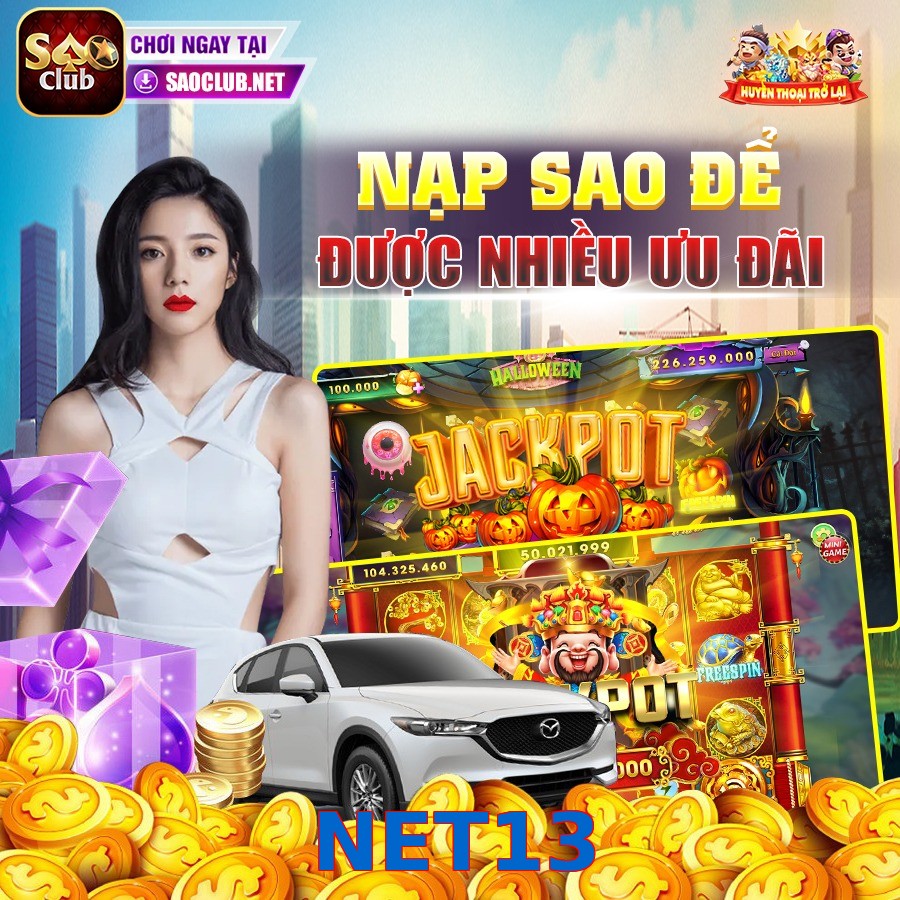 NET13